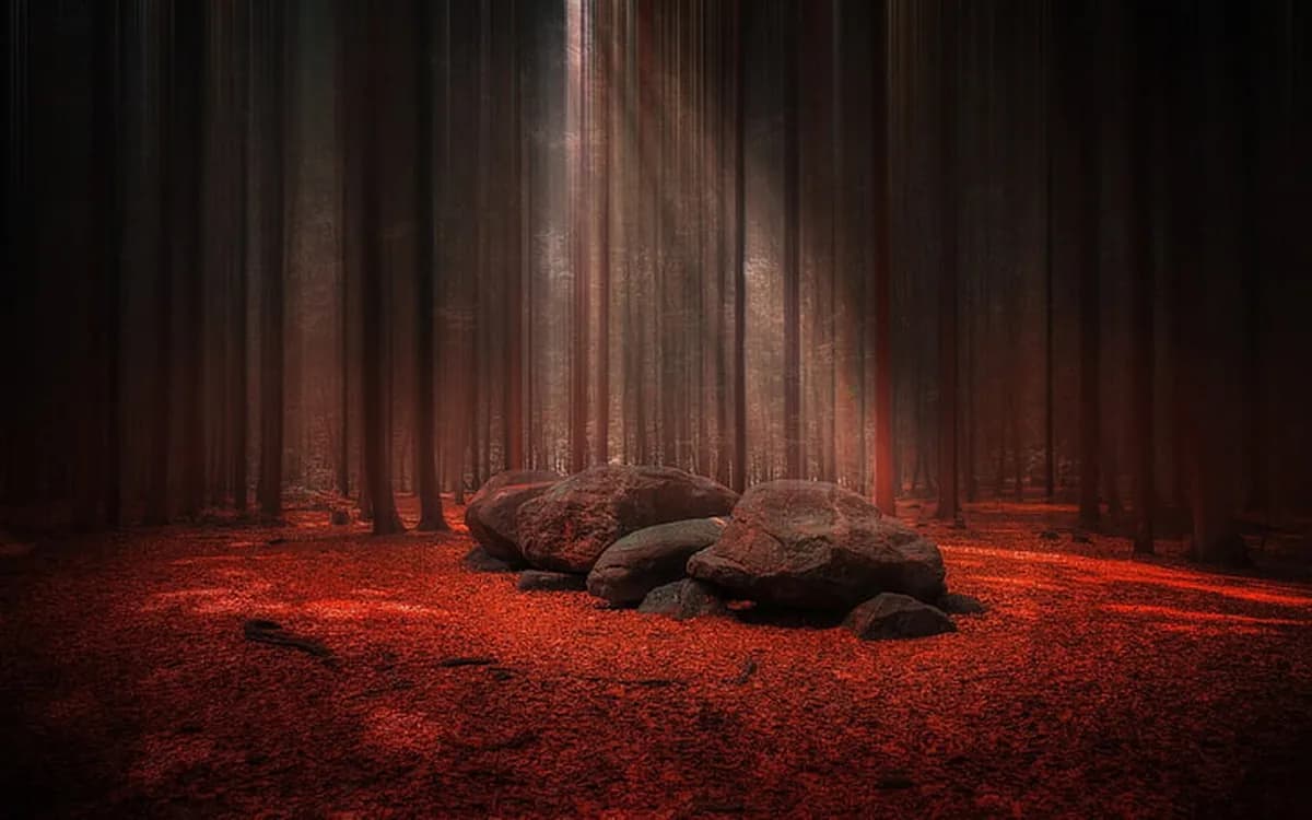 Forest landscape, sunlight through the trees